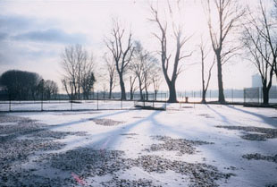 SEASONS / JAHRESZEITEN