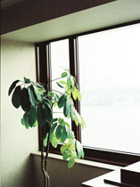 PLANTS / PFLANZEN