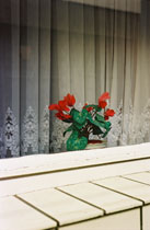 PLANTS / PFLANZEN